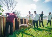 Kabar Gembira bagi Pencinta Satwa: 15 Rusa Totol dari Istana Kepresidenan Bogor Hadir di Taman Cadika Medan