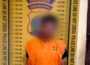 Polres Simalungun Tangkap Residivis LG: Aksi Kejahatan Berulang yang Berakhir di Medan