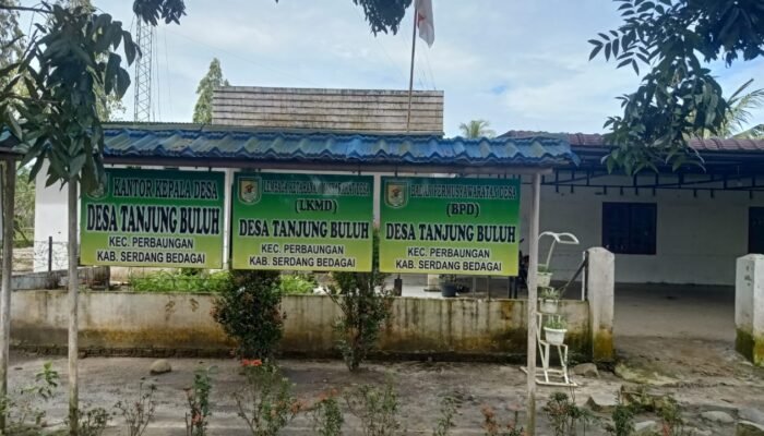 Dinding Berlumut dan Rumput Menggantung, Kantor Desa Tanjung Buluh Jadi Sorotan Warga
