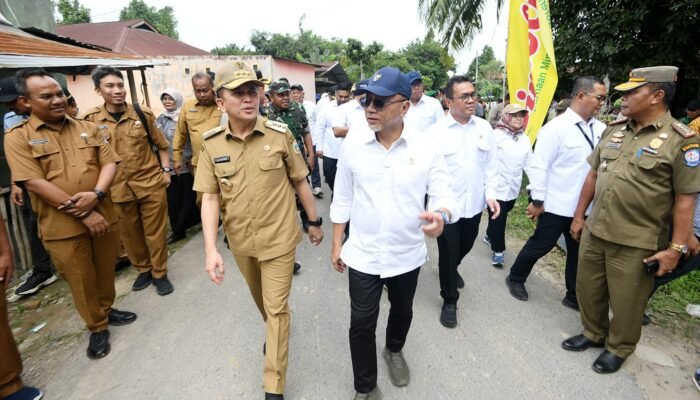 Presiden Dorong Ketahanan Pangan, Irigasi Baru Dukung Panen Padi Melimpah