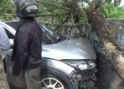 Pengemudi HRV dan Rekan Wanita Tabrak Becak di Pagi Buta, Mobil Oleng dan Hancur Tertahan Tembok!