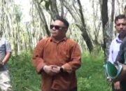 Konstatering di Kota Pinang Pemohon Tidak Paham Objek! Tergugat Keberatan Batas Lahan Ditunjuk Kadus dan Kuasa, Bukan Penggugat