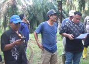Sidang Konstatering di Labusel Ricuh Kapasitas Penunjukan Objek! Warga Klaim Tanah, Tunjukkan Sertifikat Hak Milik