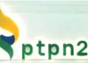 Mantan Dirut PTPN 2 Diduga Terima Rp3,1 M Lewat Rekening Pribadi, Harta Capai Rp20 Miliar