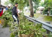 Gotong Royong Dipimpin Langsung Rico Waas! Sungai Sei Putih Dibersihkan, Warga Minta Solusi Tuntas