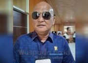 Wacana Pilkada Kembali ke DPRD, Robi Barus: Seperti Mundur ke Zaman Orde Baru