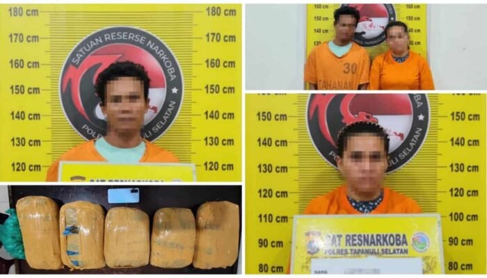 Terendus dari Penyelidikan, Dugaan Distribusi Ganja 5 Kilogram di Batang Angkola Berhasil Digagalkan Polisi