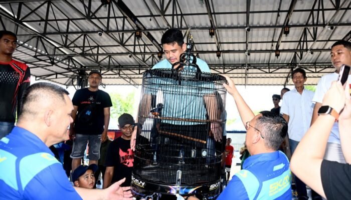 Bobby Nasution Support Penuh Event Kicau Mania Nasional di Sumut, Dampak Ekonominya Disebut Luar Biasa