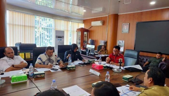 Komisi 4 DPRD Medan Soroti Drainase, Lailatul Badri Minta Penanganan Banjir Lebih Terukur