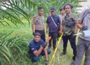 Wanita 59 Tahun Ditemukan Kritis di Kebun PTPN IV, Polisi Temukan Botol Racun Rumput