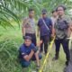Wanita 59 Tahun Ditemukan Kritis di Kebun PTPN IV, Polisi Temukan Botol Racun Rumput