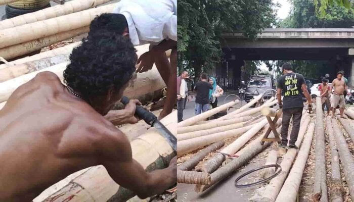 Jelang Kemerdekaan, Permintaan Batang Pinang Belum Bergerak: Baru 45 Batang Terjual