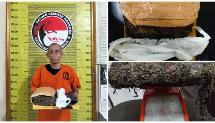 Peredaran Ganja di Jalinsum Padangsidimpuan Disorot, Polisi Tangkap Pria 53 Tahun saat Ops Antik Toba 2026