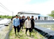 Wagub Sumut Surya Tinjau UPTD BIAPAL Sergai, Potensi PAD Sektor Perikanan Disorot