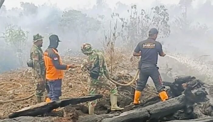 Karhutla di Aceh Barat Capai 58,7 Hektare, BPBD Pastikan Api Sudah Padam