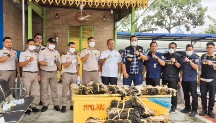 Hendak Diselundupkan ke Malaysia, Hampir 2.000 Kulit Biawak Digagalkan di Pelabuhan Teluk Nibung